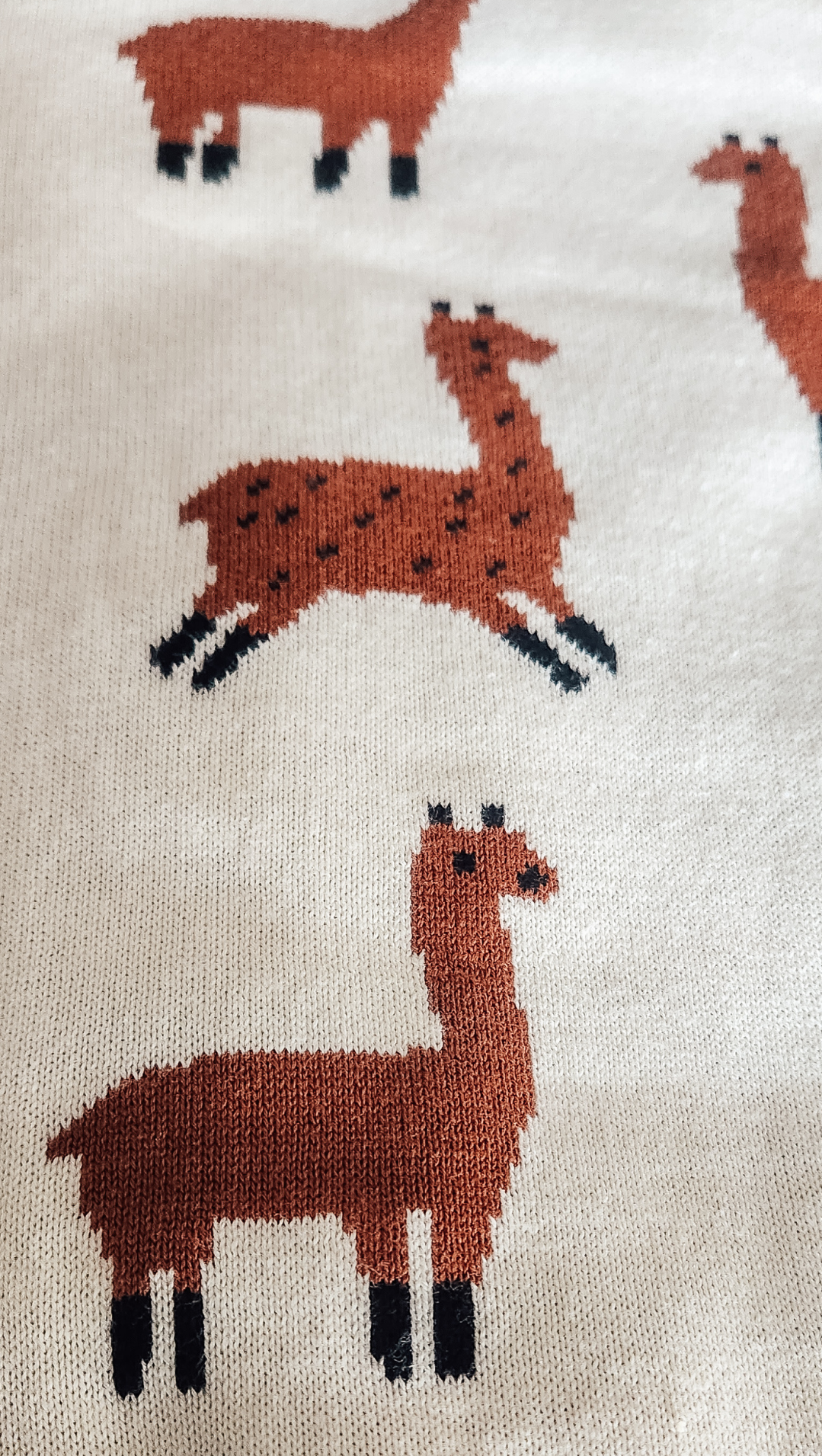Knit Animal Blanket - Ebb and Thread